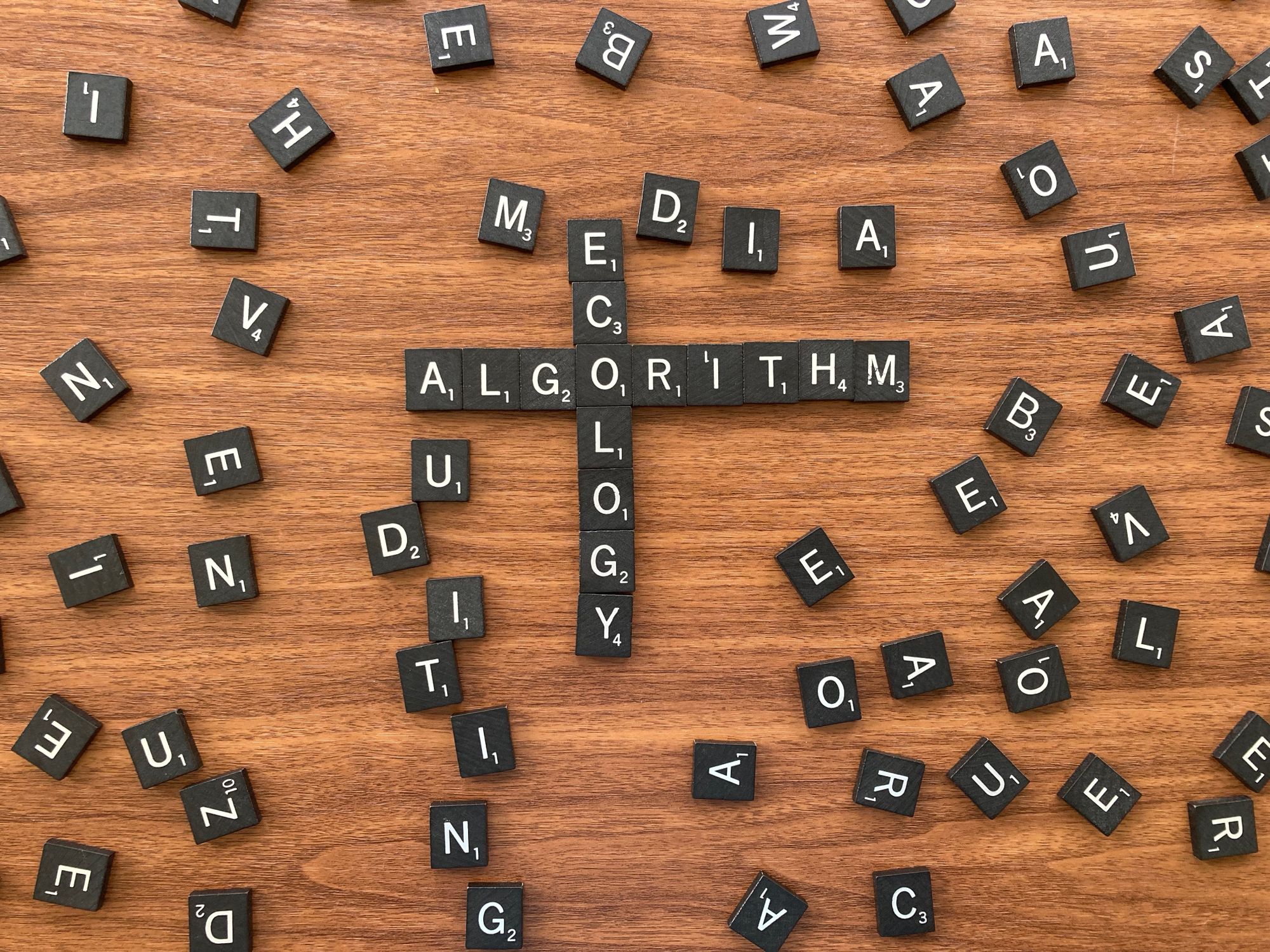 Algorithm Ecology